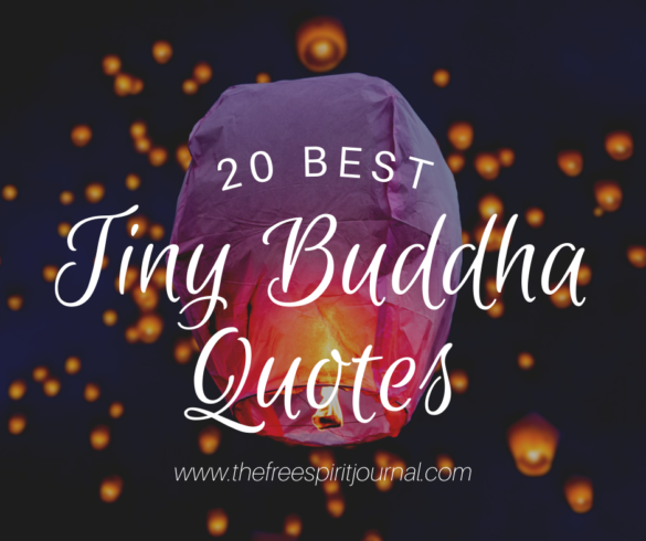 tiny buddha quotes,