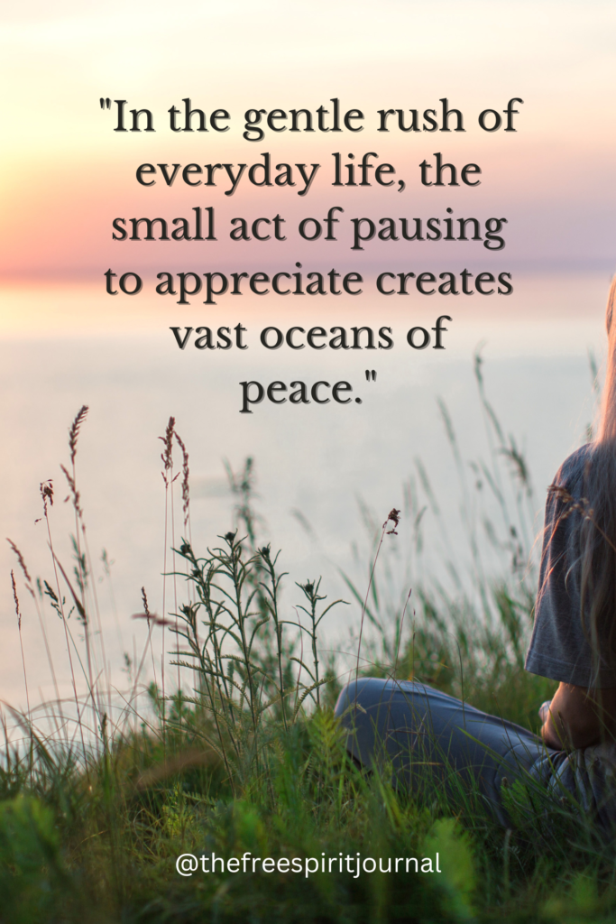 "In the gentle rush of everyday life, the small act of pausing to appreciate creates vast oceans of peace."